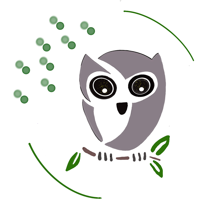 Therapie & Coaching Heidi Janssen